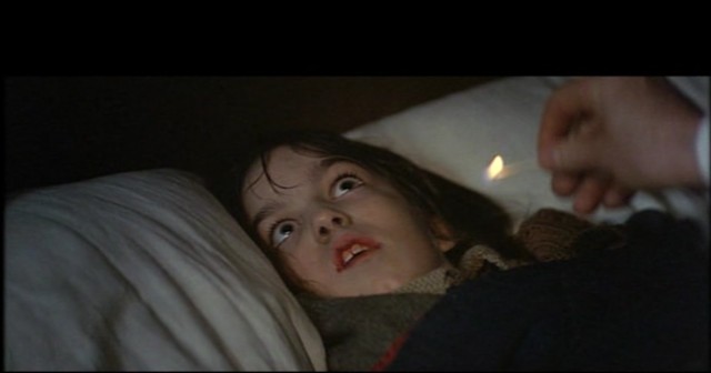 Tohum Yeşerince Fotoğrafı