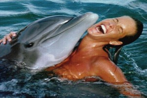 Flipper Fotoğrafı