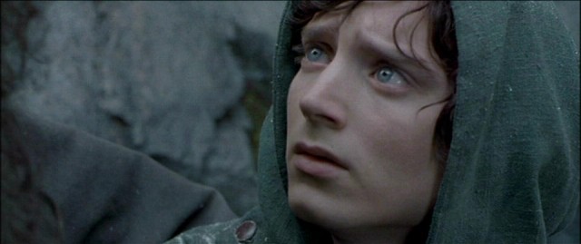 Yüzüklerin Efendisi: Yüzük Kardeşliği Fotoğrafı