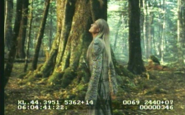 Yüzüklerin Efendisi: Kralın Dönüşü Fotoğrafı