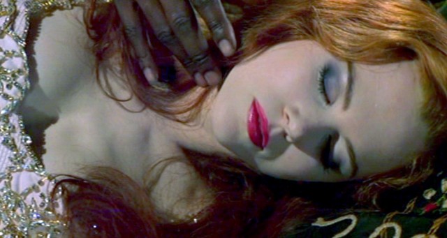 Kırmızı Değirmen Fotoğrafı