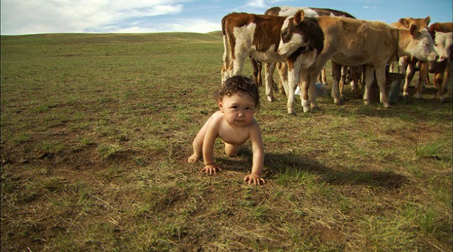 Babies Fotoğrafı