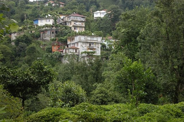 Off Karadeniz Fotoğrafları 40