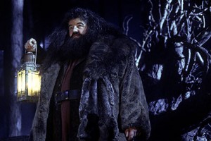 Harry Potter ve Felsefe Taşı Fotoğrafı