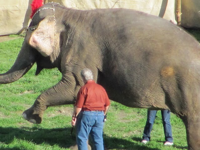 Aşkın Büyüsü Fotoğrafı