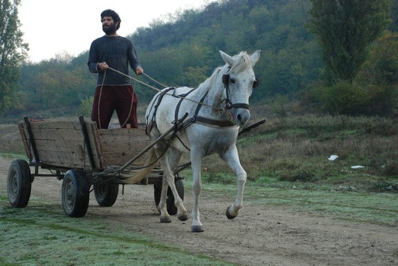 Yüzer Fotoğrafı