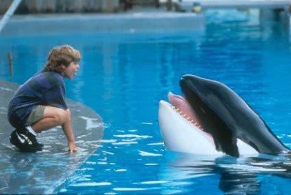 Free Willy: Escape From Pirate's Cove Fotoğrafları 1