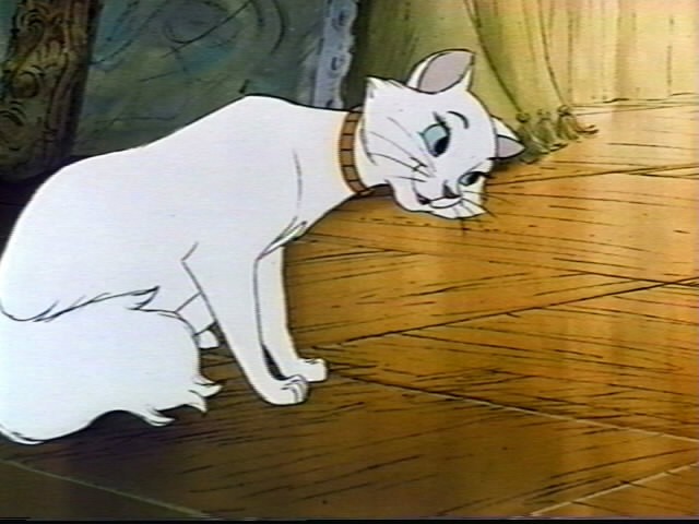 Aristokediler Fotoğrafı