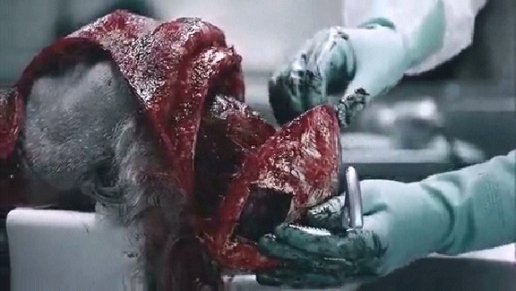 Testere 4 Fotoğrafı