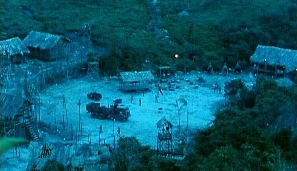 Stars & Roses Fotoğrafı