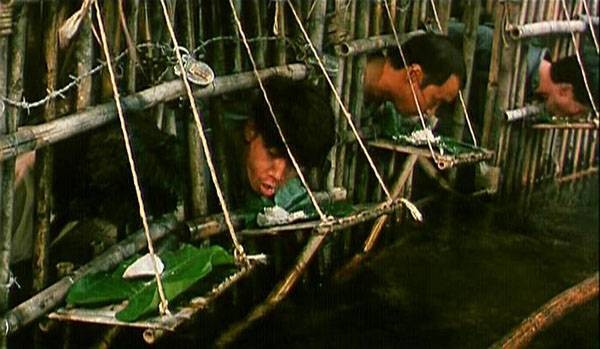 Stars & Roses Fotoğrafı