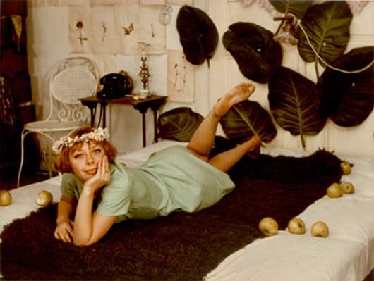 Papatyalar Fotoğrafı