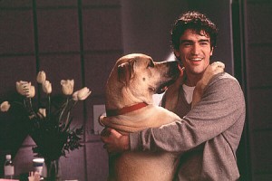 Gözler Ve Sözler Fotoğrafı