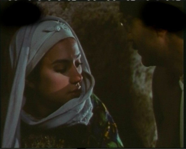 Yaban Fotoğrafı