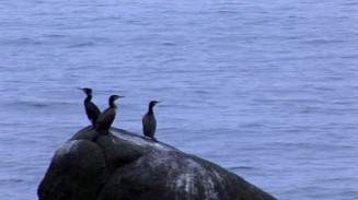 Şarkılarla Geçtim Aranızdan fotoğrafı