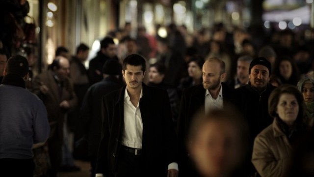 Çakal Fotoğrafı