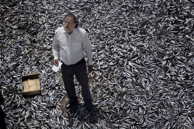 Terraferma Fotoğrafı