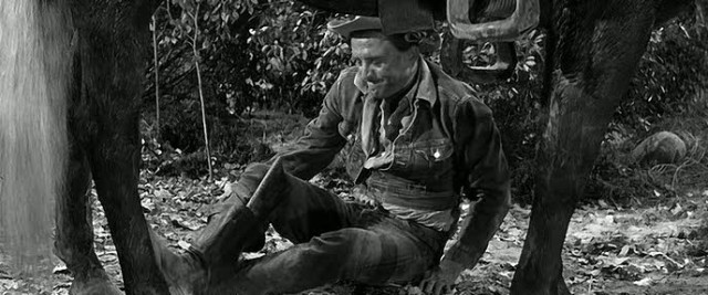 Yalnız Ve Cesur Fotoğrafı