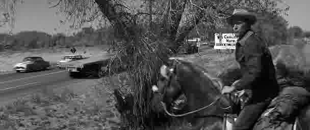 Yalnız Ve Cesur Fotoğrafı