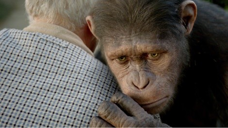 Maymunlar Cehennemi: Başlangıç Fotoğrafları 16
