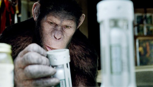 Maymunlar Cehennemi: Başlangıç Fotoğrafları 25