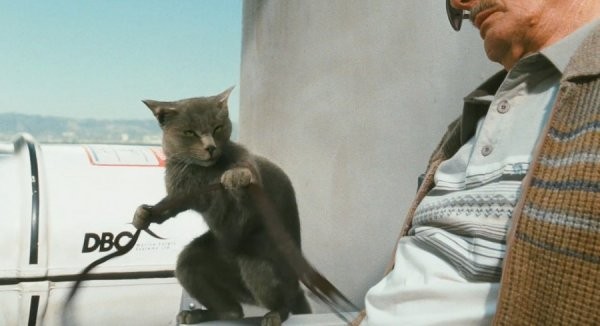 Kediler ve Köpekler Kitty Galore'un İntikamı Fotoğrafı