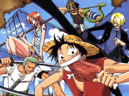 One Piece Fotoğrafları 24