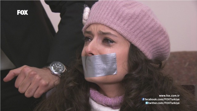 Deniz Yıldızı Fotoğrafı