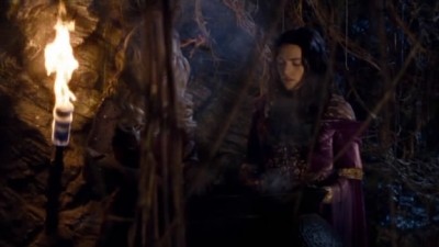 Merlin Fotoğrafı