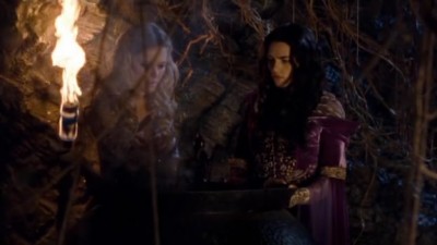 Merlin Fotoğrafı