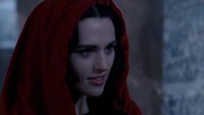 Merlin Fotoğrafı