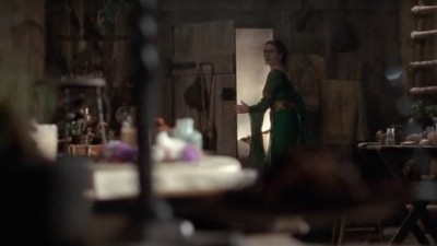 Merlin Fotoğrafı