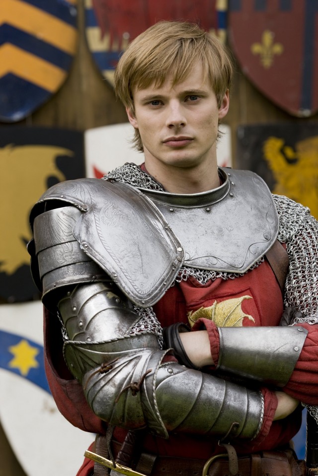 Merlin Fotoğrafı