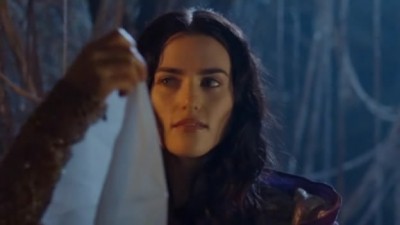 Merlin Fotoğrafı
