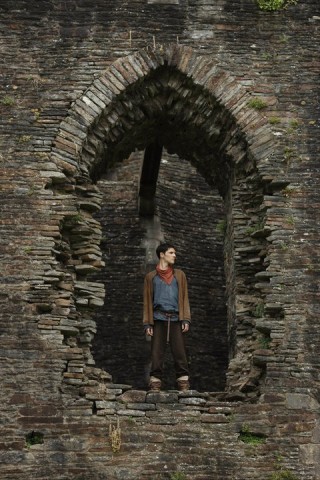 Merlin Fotoğrafı