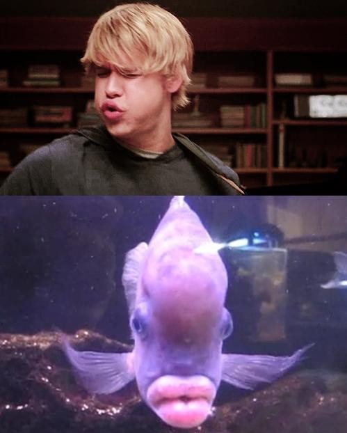 Glee Fotoğrafı