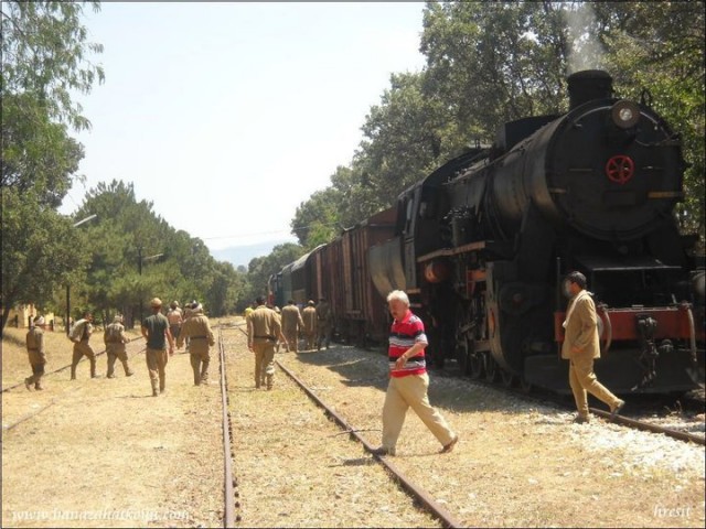 Deli Saraylı Fotoğrafı