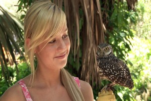 Hoot Fotoğrafı
