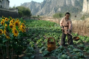 The Children Of Huang Shi Fotoğrafları 0