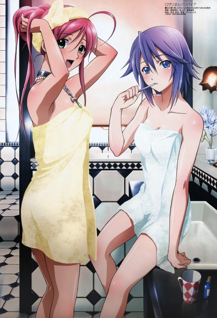 Rosario To Vampire Fotoğrafı