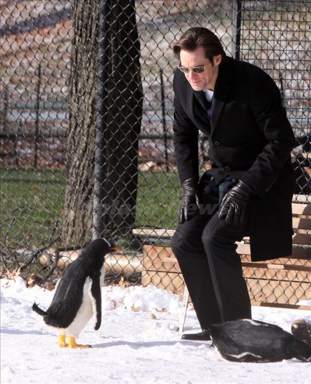 Babamın Penguenleri Fotoğrafı