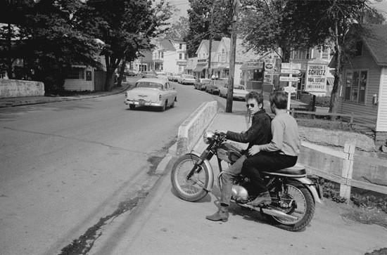 The Wild Weird Wonderful ıtalians Fotoğrafı