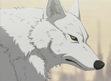 Wolf's Rain Fotoğrafları 2