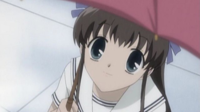 Fruits Basket Fotoğrafı