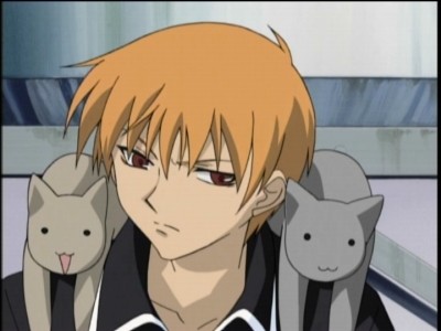 Fruits Basket Fotoğrafı