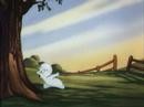 Casper Fotoğrafı
