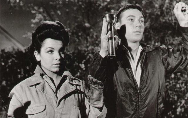 The Shaggy Dog Fotoğrafı