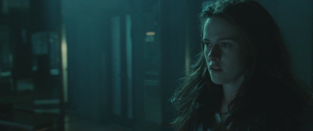 Alacakaranlık Fotoğrafı