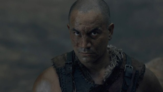 Spartacus: Gods Of The Arena Fotoğrafı