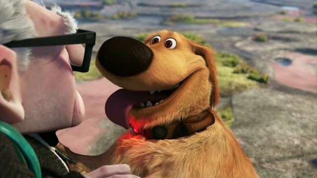 Yukarı Bak Fotoğrafı